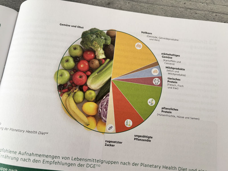 Tortendiagramm Nahrungsmittel